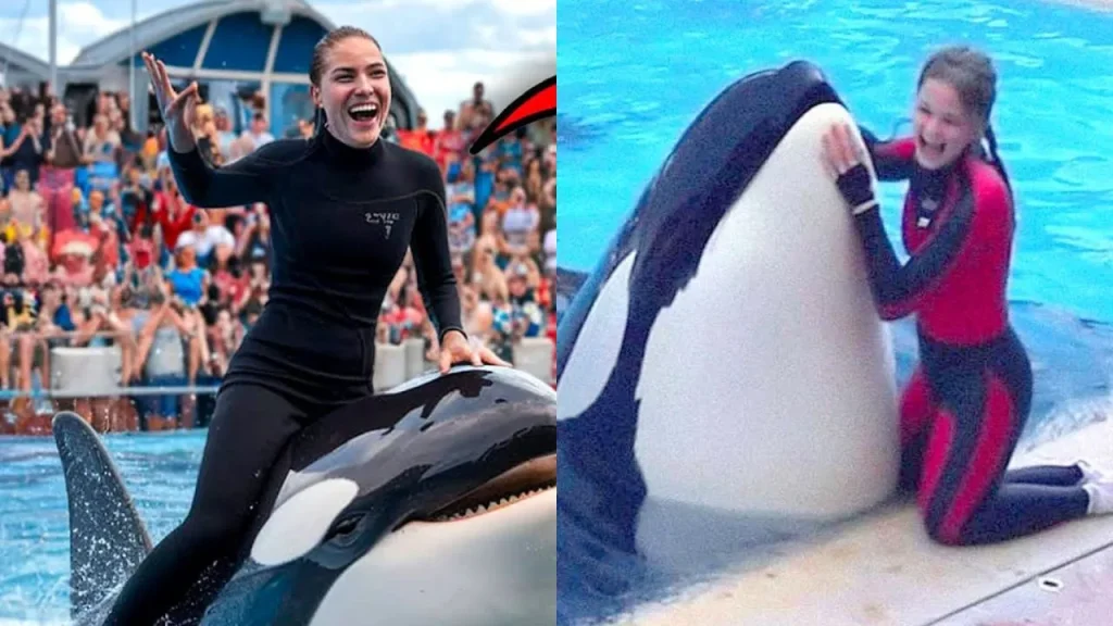 Jessica Radcliffe incidente con orca: qué le pasó, biografía y Wikipedia
