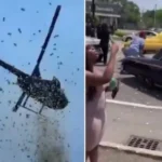 VIDEO: cumplen último deseo de empresario y arrojan dólares desde un helicóptero