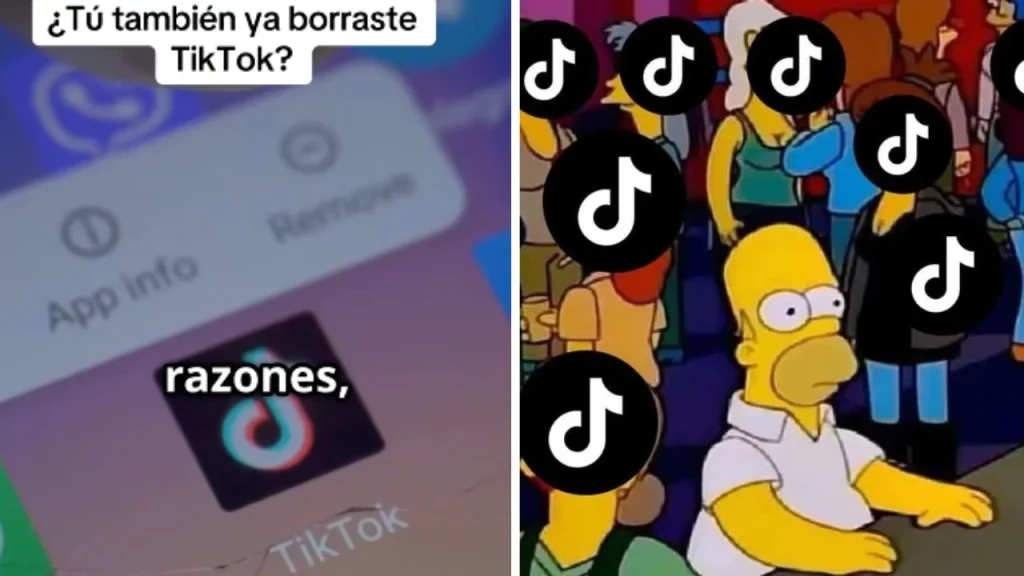 ¿Por qué todos desinstalan TikTok?: contexto, qué pasó y lo que está ocurriendo
