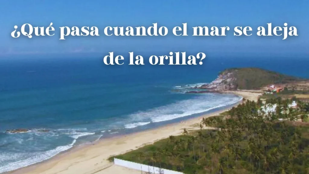 ¿Qué pasa cuando el mar se aleja de la orilla? ¿Es una señal de peligro?