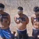 Video fuerte donde sicarios de los Chapitos a ejecutan a seis nuevos rivales de La Mayiza