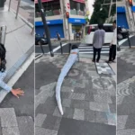 Influencer se ‘convierte en serpiente’ y se arrastra por las calles