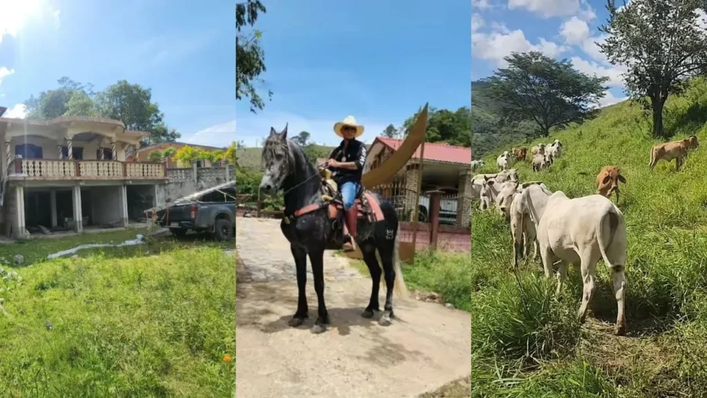 Hondureño se vuelve sensación al mostrar su lujoso rancho ‘El Dólar’