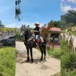 Hondureño se vuelve sensación al mostrar su lujoso rancho ‘El Dólar’