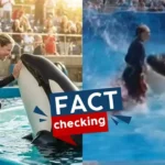 Orca ataca a su entrenadora: ¿es real el video viral de Jessica Radcliffe?
