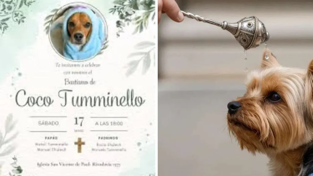 ‘Te agarraron de maj*’: madre hondureña estalla contra idea de bautizo de perro