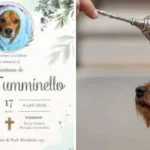 ‘Te agarraron de maj*’: madre hondureña estalla contra idea de bautizo de perro