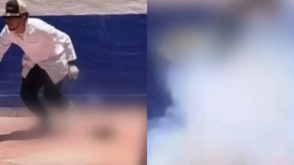 Gato con pirotecnia video: estudiantes hacen explotar al animal
