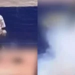 Gato con pirotecnia video: estudiantes hacen explotar al animal