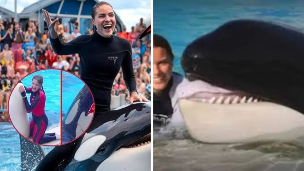 Jessica Radcliffe orca trainer Wikipedia: video completo de lo sucedido