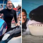 Jessica Radcliffe orca trainer Wikipedia: video completo de lo sucedido