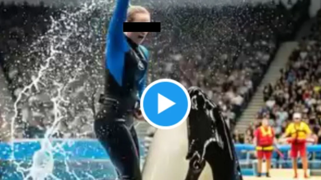 Jessica Radcliffe video: entrenadora muere por una orca ¿qué le pasó?