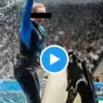 Jessica Radcliffe video: entrenadora muere por una orca ¿qué le pasó?