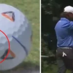 Mosca ayuda a golfista a embocar pelota en el hoyo y ganar premio millonario