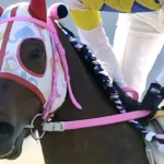 Haru Urara murió: qué le pasó y causa de muerte de la famosa Yegua