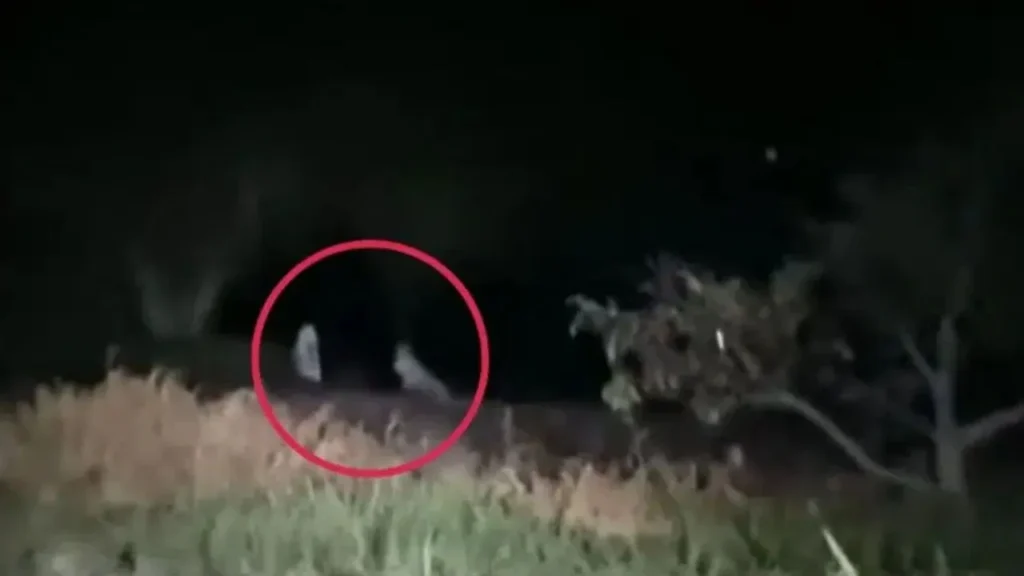 Video muestra a dos niñas ‘fantasma’ jugando en la oscuridad