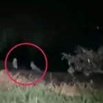 Video muestra a dos niñas ‘fantasma’ jugando en la oscuridad
