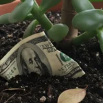 Feng Shui: dónde colocar billetes doblados en septiembre 2025 para atraer dinero