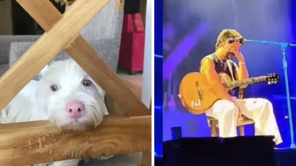 ¿Qué le pasó a Camilo? La dolorosa muerte que lo hizo llorar en pleno concierto