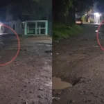 ¿El cadejo? Hondureña graba a misteriosa criatura en cementerio de Reitoca