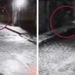 Cámara capta a ‘niño fantasma’ desapareciendo en la madrugada