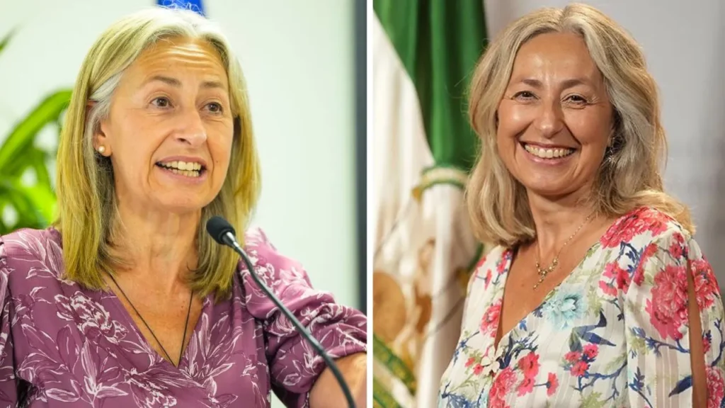 Rocío Hernández Soto Wikipedia: partido político, biografía, esposo e hijos