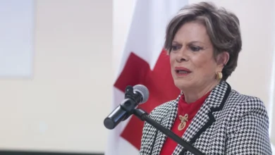 Virginia Sendel edad Wikipedia: pareja, biografía, hijos y quién es