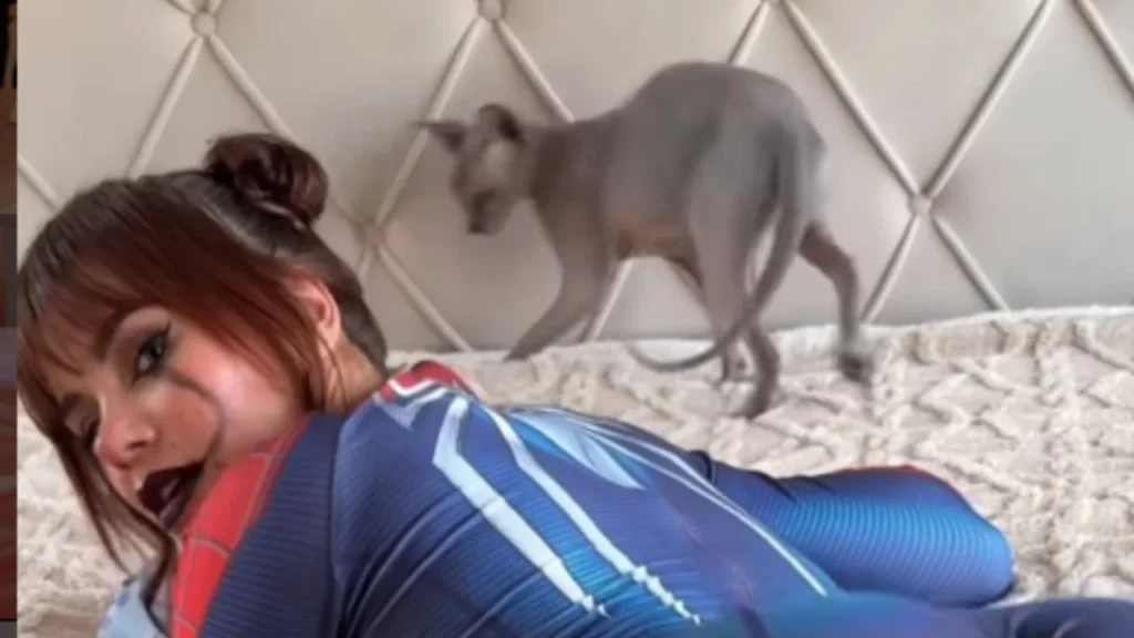 Carolina spider video: ¿se filtró un clip en Telegram y Twitter?