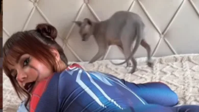 Carolina spider video: ¿se filtró un clip en Telegram y Twitter?