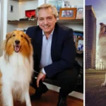 Perro de Alberto Fernández: ¿Qué le pasó a Dylan, la mascota del expresidente?