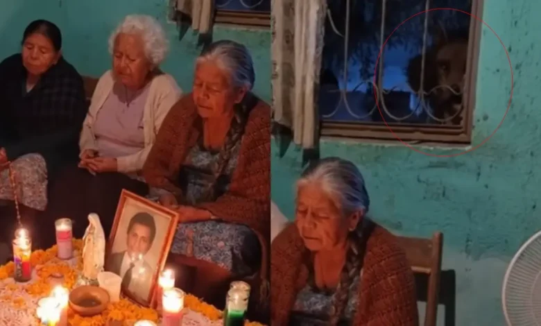 ¿Real? Video muestra presunta criatura demoníaca durante rosario