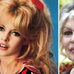 Brigitte Bardot biografía: Quién fue, edad y de qué murió la actriz