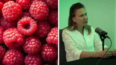 Juan de Bedout quién es: biografía, edad, qué hace, hija y relación con Zulma