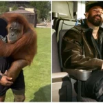 Mike Holston accidente: ¿Qué le pasó y cuál es su estado de salud?