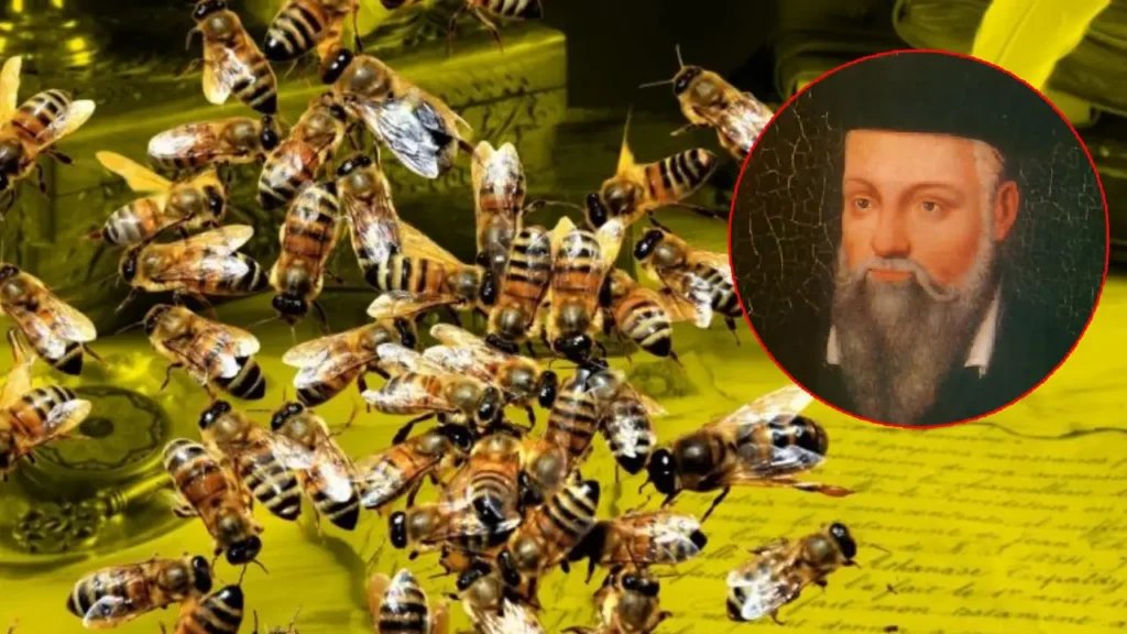 2026 bajo el zumbido: la estremecedora profecía de Nostradamus sobre las abejas