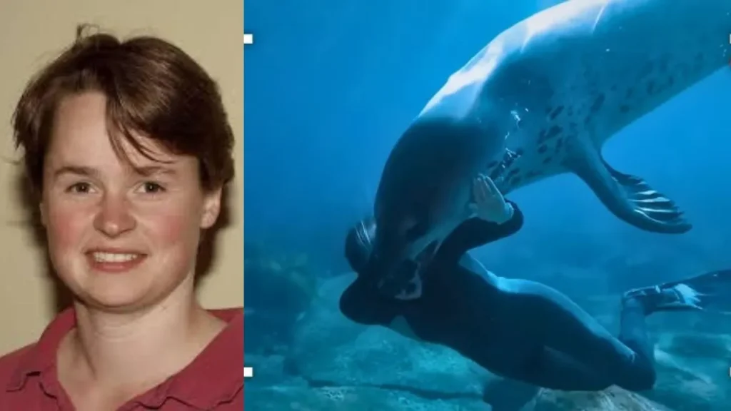 Kirsty Brown video: ¿clip viral de la foca que mató a la bióloga?