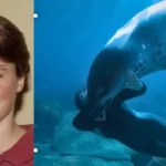 Kirsty Brown video: ¿clip viral de la foca que mató a la bióloga?