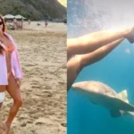 VIDEO SENSIBLE: Mujer es mordida por tiburón en una playa