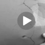 Aborto amarillo video viral: ¿Se puede ver el clip en Twitter o forogore?