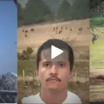 Autopsia de ‘El Mencho’ ForoGore: ¿Se filtra video muerto y fotos del cuerpo en Telegram?