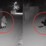 VIDEO: Captan supuesta transformación de una 'bruja' en un pavo