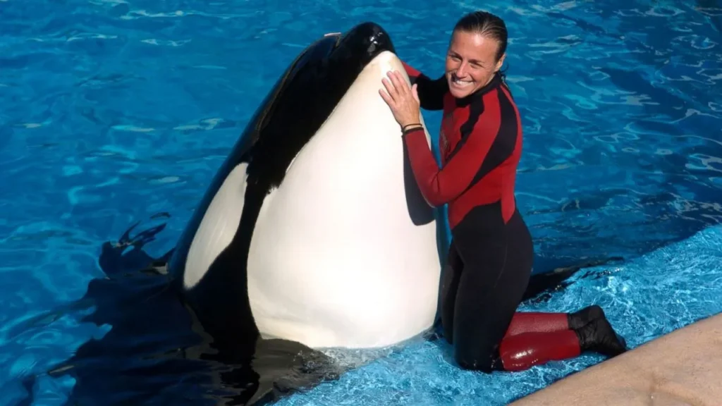 Dawn Brancheau video viral: clip de completo de orca que mató a su entrenadora