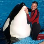 Dawn Brancheau video viral: clip de completo de orca que mató a su entrenadora
