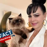 ¿Es verdad que Maribel Guardia murió hoy, 2026? ¿Qué le pasó? ¿Falleció?