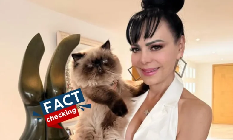 ¿Es verdad que Maribel Guardia murió hoy, 2026? ¿Qué le pasó? ¿Falleció?