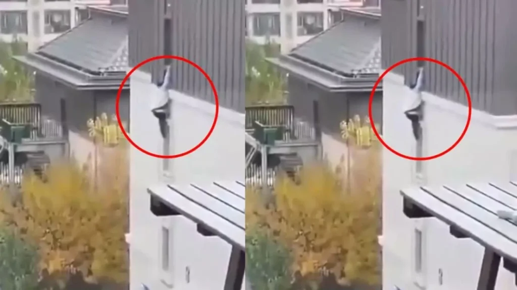 Hombre cae de edificio al intentar escapar cuando esposo de su amante los descubre