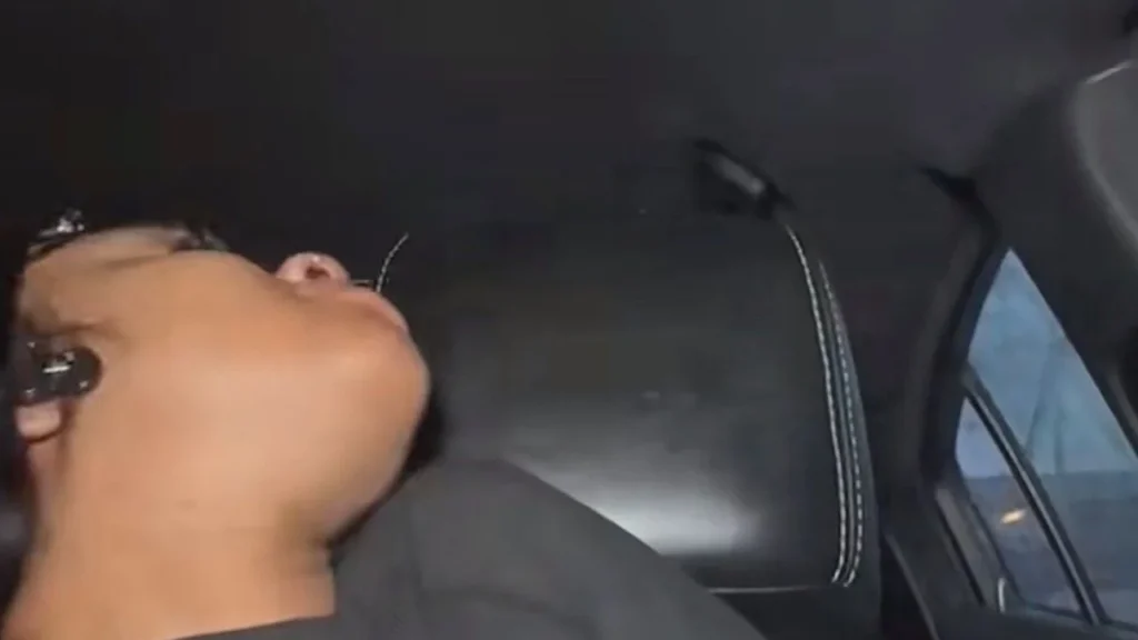 Iiiialexandria car video Twitter: madre juega con su hijo clip original