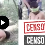 No Mercy in México video Foro Gore completo: ¿Cuál es el clip filtrado en Twitter?