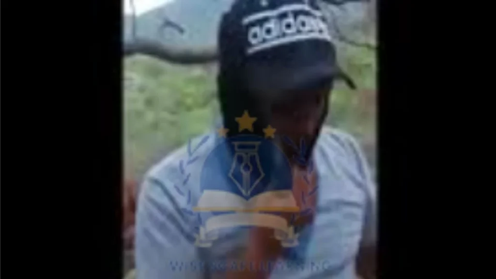 Patrocinado por Adidas Forogore: ¿cuál es el video viral del CJNG en redes?