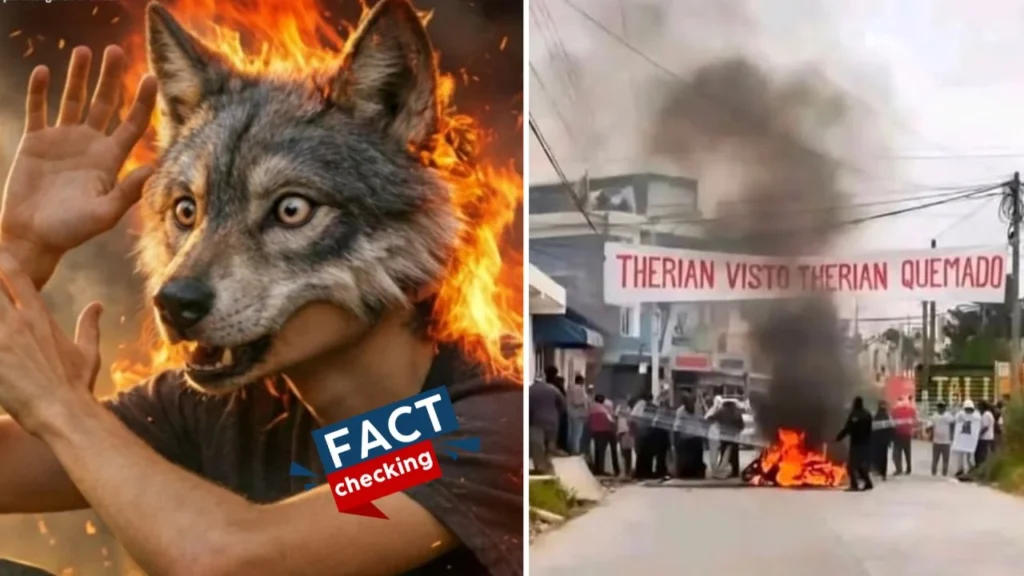 ¿Queman un therian en Guatemala? ¿Es verdad? ¿Cuál es el video que circula en redes?